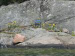 Sweden 2007-08 215